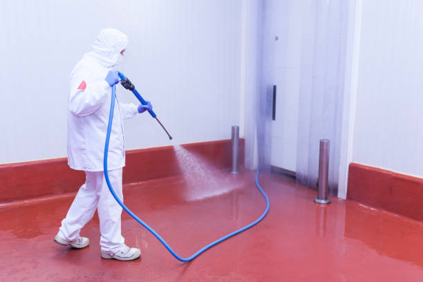 Best Post-Construction Pressure Washing  in El Cerro, NM