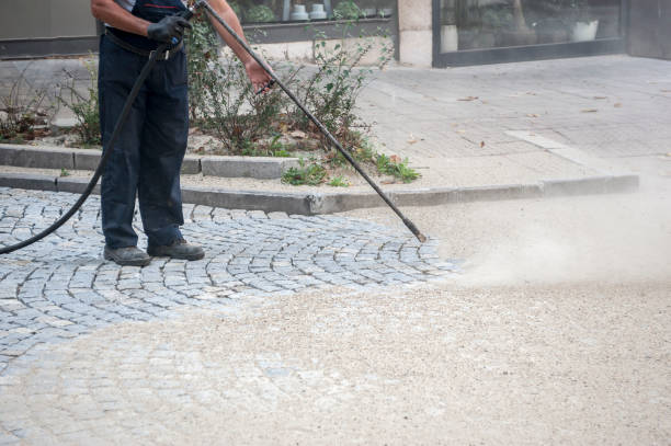 Best Pre-Holiday Cleaning  in El Cerro, NM