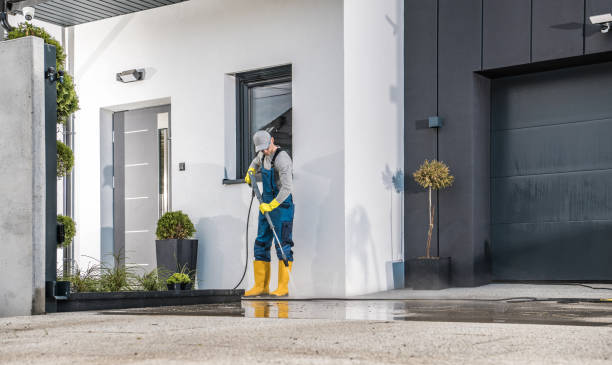 Best Solar Panel Cleaning  in El Cerro, NM